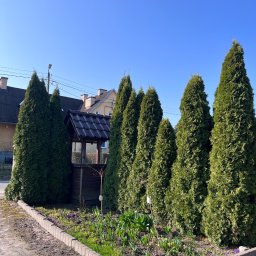 Jakub Jarzembowski - Rząd wysokich, zielonych tuj otaczających drewnianą studnię z czarnym dachem, z widocznymi wiosennymi kwiatami wzdłuż obrzeża rabaty.