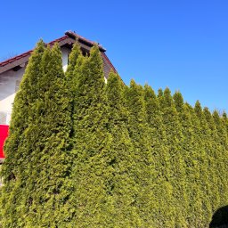 Pielęgnacja ogrodów Babięty Wielkie 3