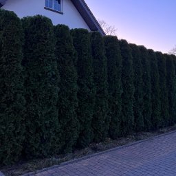 Pielęgnacja ogrodów Babięty Wielkie 4