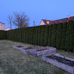 Pielęgnacja ogrodów Babięty Wielkie 1