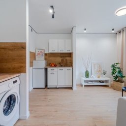 Własny Kąt - NIERUCHOMOŚCI I INWESTYCJE - ALEKSANDRA CZYKIETA - Jasne, nowocześnie urządzone studio z pralką w aneksie kuchennym, drewnianymi akcentami i minimalistycznym wystrojem.