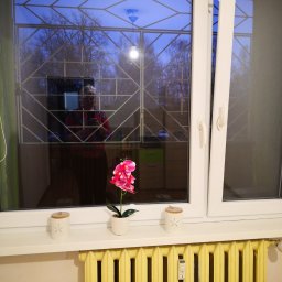 Własny Kąt - NIERUCHOMOŚCI I INWESTYCJE - ALEKSANDRA CZYKIETA - Białe okno z kratą, widok na zewnątrz z drzewami, na parapecie dekoracje i żółty grzejnik żeliwny, odbicie osoby robiącej zdjęcie.