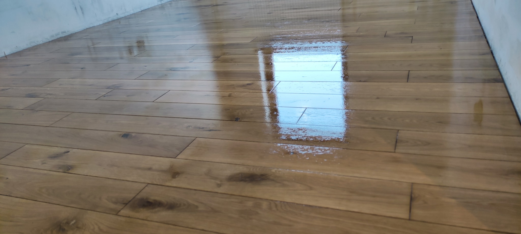 Świeżo polakierowana, błyszcząca podłoga z drewnianych desek w odcieniach brązu, z odbiciem okna i smugami lakieru, przy białej ścianie.