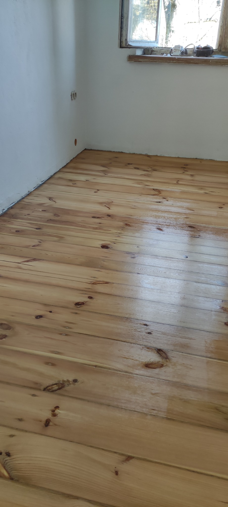 Świeżo polakierowana podłoga z desek w odcieniach miodowego brązu, widoczna w rogu pomieszczenia ze ścianami pomalowanymi na biało, w Świdnicy.