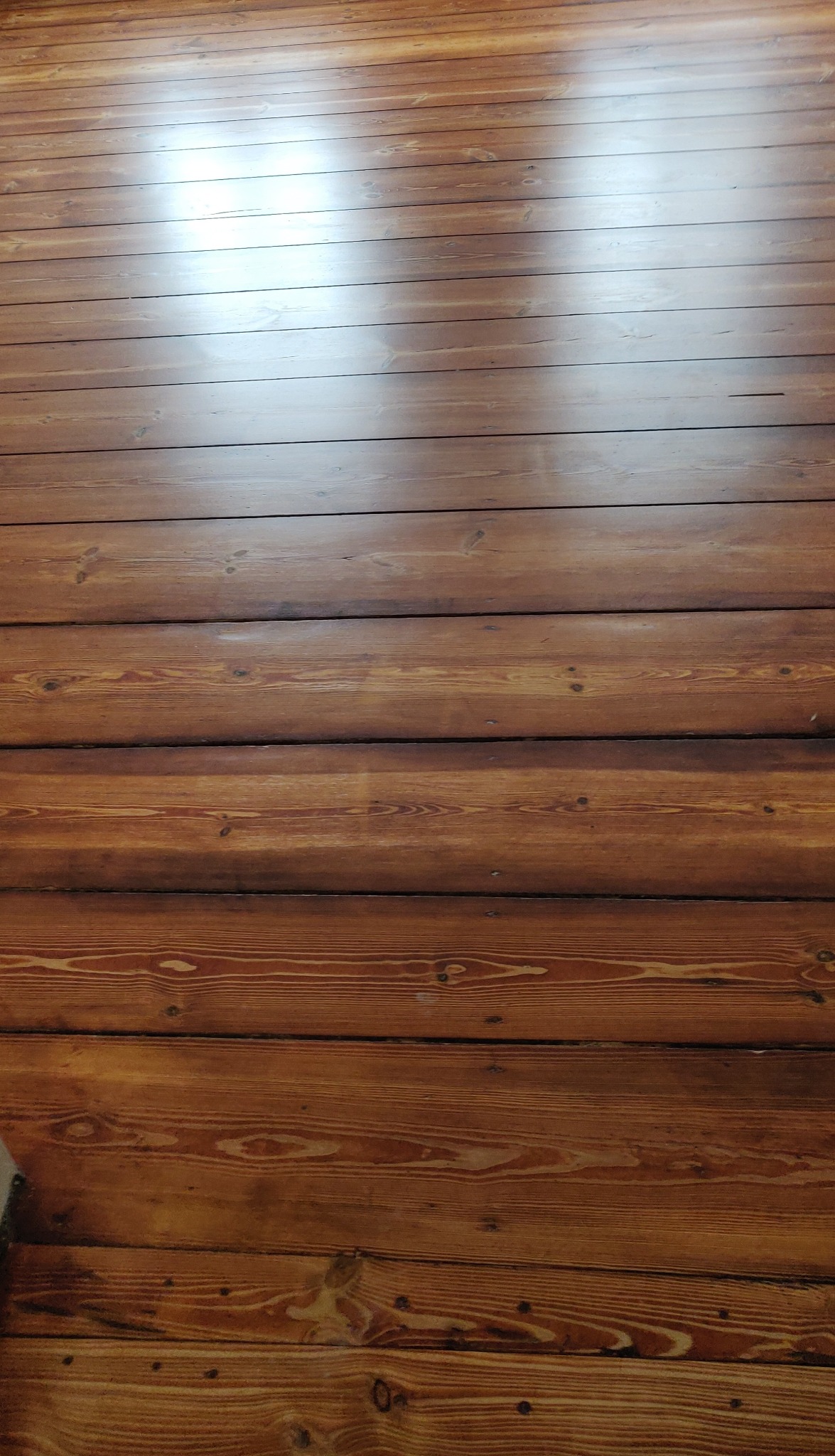 Błyszcząca, świeżo polakierowana drewniana podłoga z widocznym usłojeniem i odbijającym się światłem.