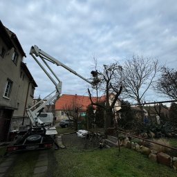 WITEK Łukasz Witkowski - Pracownik w koszu podnośnika tnący gałęzie drzewa w ogrodzie, widoczny budynek mieszkalny i fragment podnośnika koszowego na tle pochmurnego nieba.