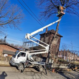WITEK Łukasz Witkowski - Pracownik w pomarańczowej kamizelce na podnośniku koszowym przycina gałęzie drzewa, w tle budynki i niebo z liniami energetycznymi.