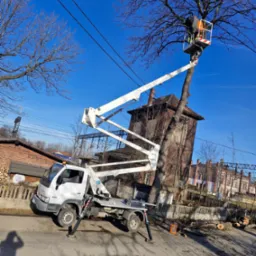Pracownik w pomarańczowej kamizelce na podnośniku koszowym przycina gałęzie drzewa, w tle budynki i niebo z liniami energetycznymi.
