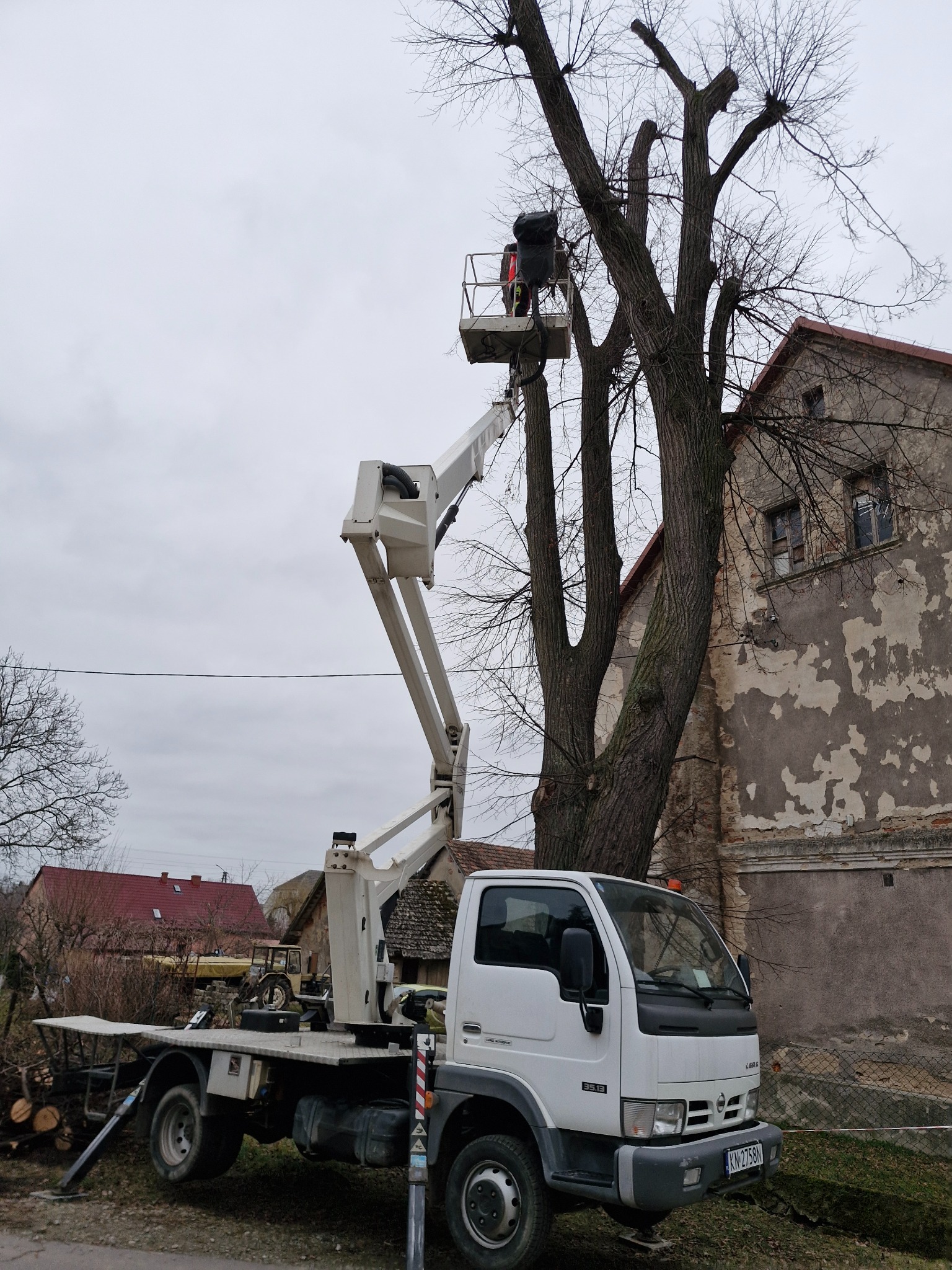 Pracownik w koszu podnośnika, przycina gałęzie wysokiego, bezlistnego drzewa obok starego budynku z odpadającym tynkiem; na platformie ciężarówki leżą pocięte kawałki drewna.