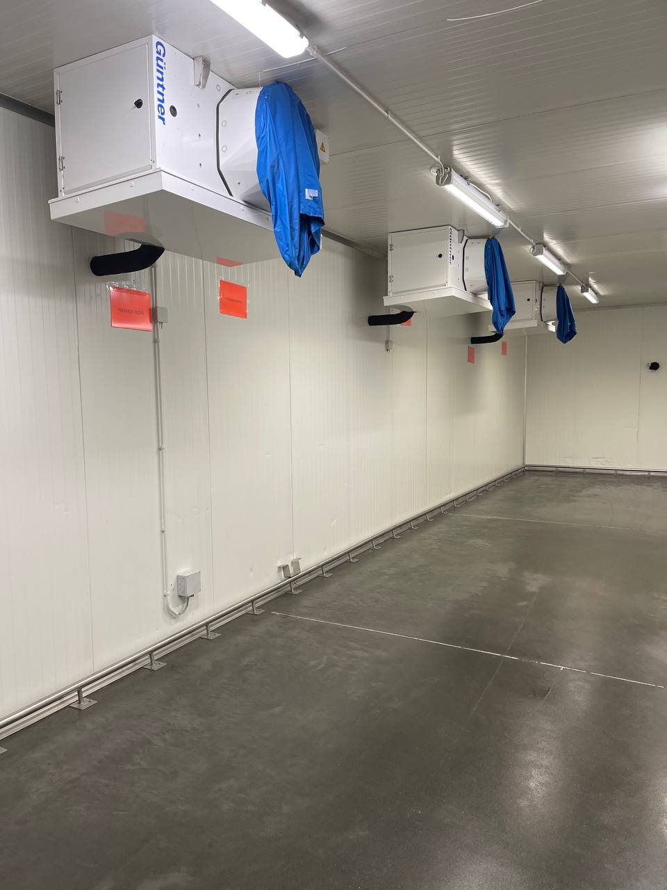 Wnętrze chłodni przemysłowej z zamontowanymi pod sufitem agregatami chłodniczymi Gunther, na których wiszą niebieskie fartuchy ochronne.