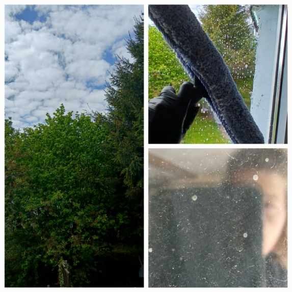 Mycie okna z zewnątrz: widok na zieleń, dłoń w rękawicy z myjką i brudna szyba z odbiciem twarzy przed czyszczeniem.