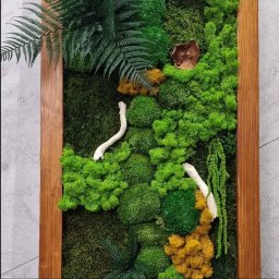 ELEGANT FLOWER MICHAŁ SMUGA - Adaptowanie Projektu Baranówka