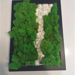 Adaptacja projektu Baranówka 4