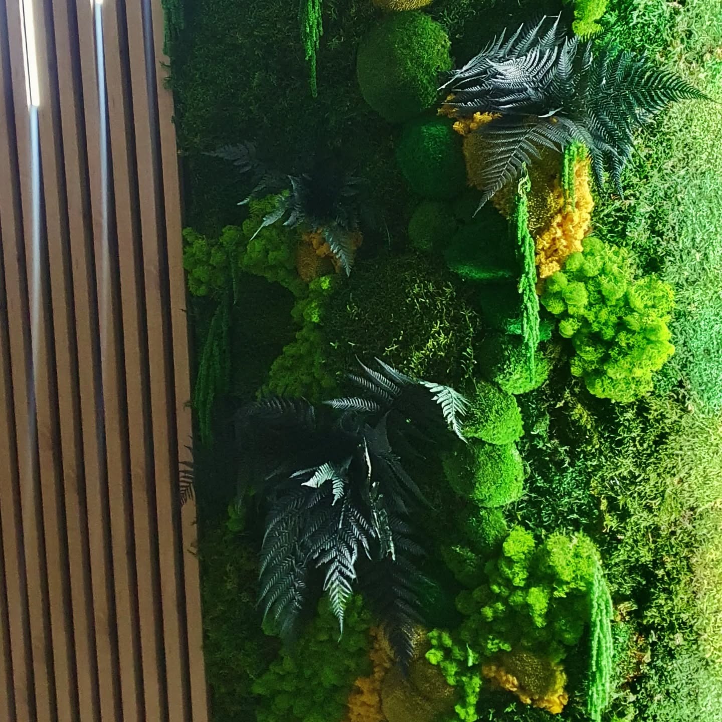 Rośliny w towarzystwie naturalnego drewna wyglądają najlepiej