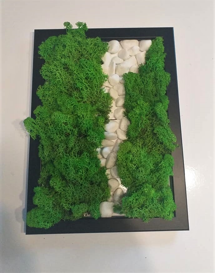 Panel dekoracyjny z mchu i białych kamieni w czarnej ramie, imitujący fragment ogrodu wertykalnego.