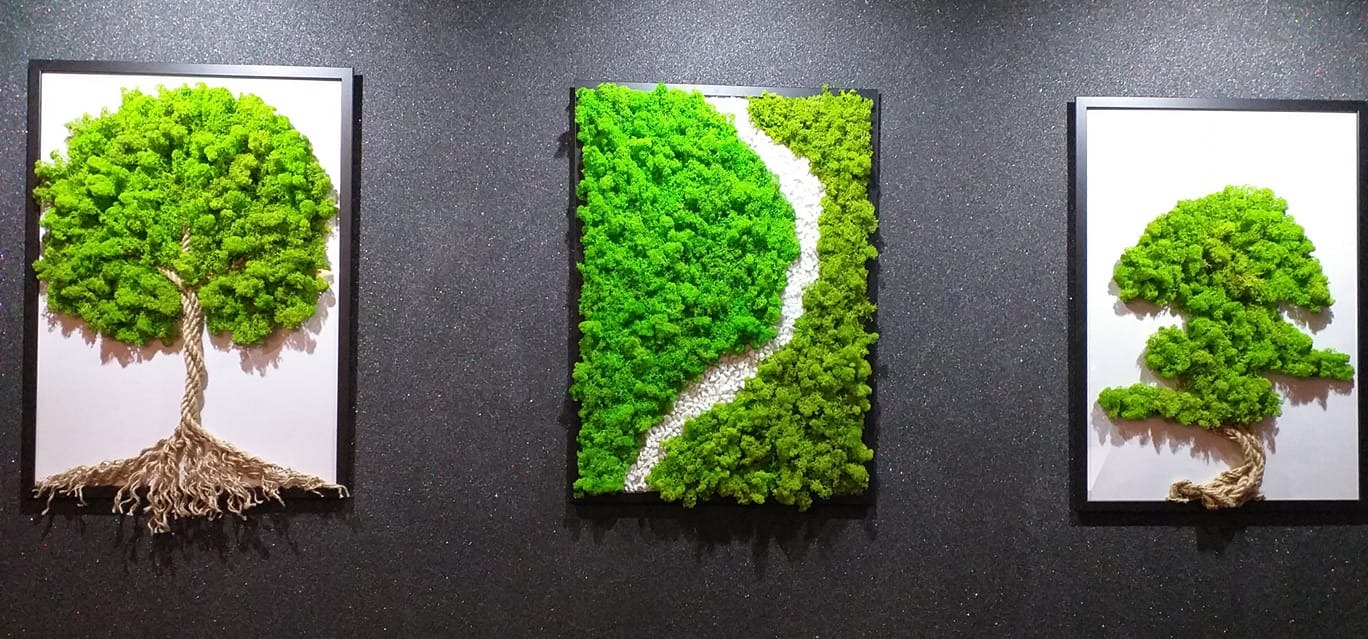 Trzy obrazy z mchu: dwa przedstawiają stylizowane drzewa z pniem z grubego sznurka, trzeci zielony krajobraz z białą ścieżką, umieszczone na ciemnej, błyszczącej ścianie.