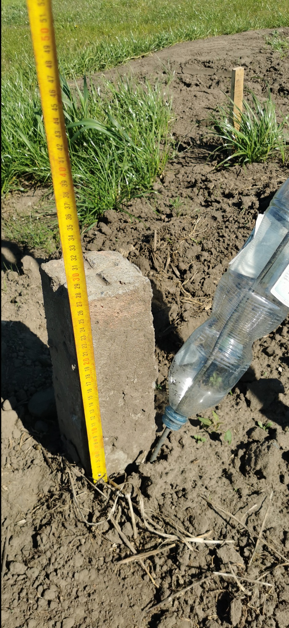 Pomiar wysokości słupka w gruncie za pomocą żółtej miarki. Obok butelka z wodą. Prace pomiarowe w terenie, prawdopodobnie wytyczanie działki.