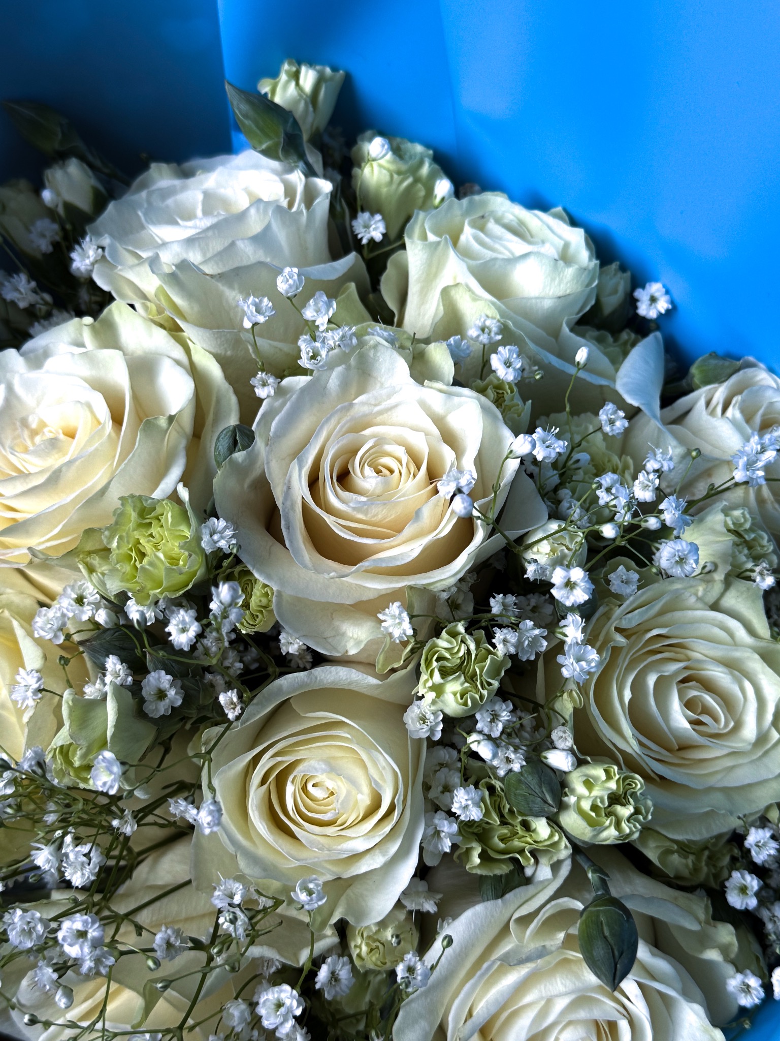 Bukiet kremowych róż z drobnymi białymi kwiatami gipsówki i zielonymi goździkami, owinięty błękitnym papierem.
