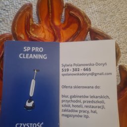 SP PRO CLEANING - Okna Bez Smug Łódź