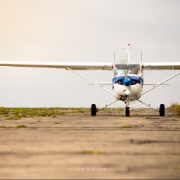 Let It Drone - Mały samolot z pilotem w kokpicie, widziany z przodu na betonowym pasie startowym z trawą i żółtymi kwiatami po bokach.