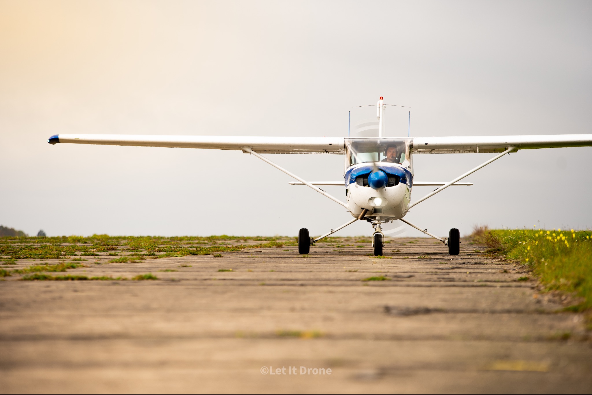 Mały samolot z pilotem w kokpicie, widziany z przodu na betonowym pasie startowym z trawą i żółtymi kwiatami po bokach.