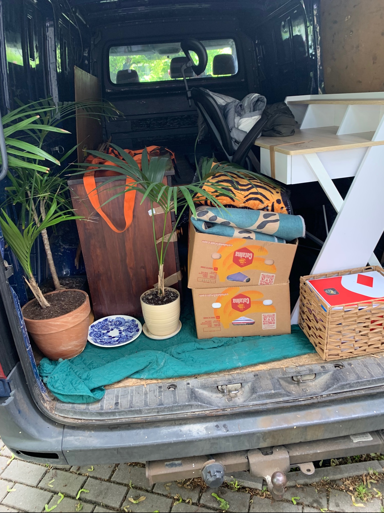 Wnętrze busa załadowane do przeprowadzki: rośliny doniczkowe, meble, kartony z owocami, tekstylia, kosz wiklinowy i inne przedmioty na zielonym kocu.