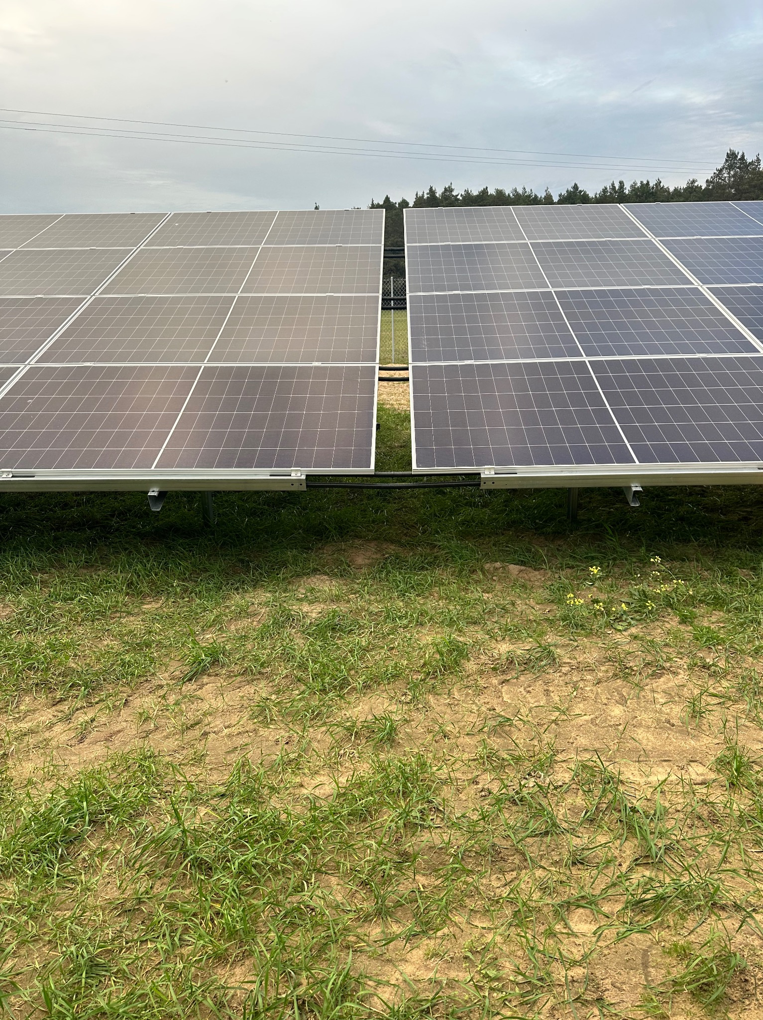 Dwa rzędy paneli słonecznych na metalowej konstrukcji, zamontowane na trawiastym terenie z widocznym lasem w tle, pochmurne niebo.