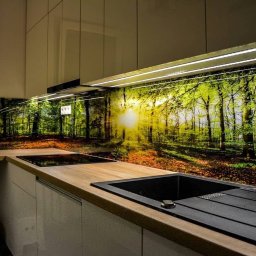 GLASS PROJECT SPÓŁKA Z OGRANICZONĄ ODPOWIEDZIALNOŚCIĄ - Szklany panel kuchenny z motywem leśnym podświetlony LED, zabudowa meblowa w odcieniach bieli, czarny zlew i płyta grzewcza. Nowoczesny design kuchni.