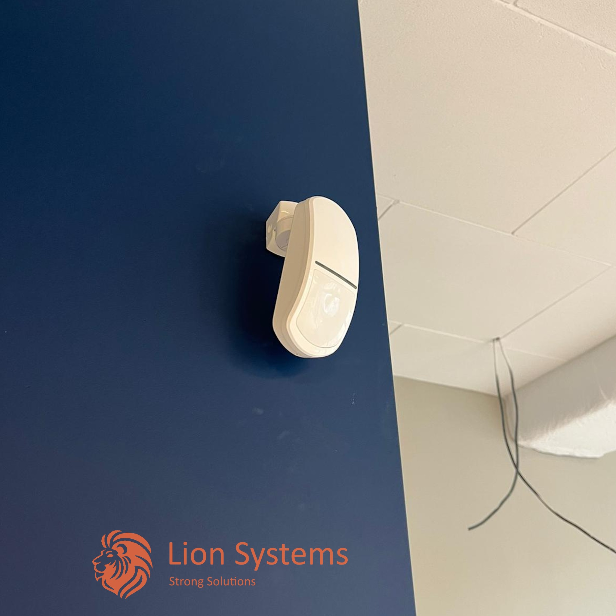 Biały czujnik ruchu alarmowego zamontowany na ciemnoniebieskiej ścianie, widoczne kable wystające z sufitu.