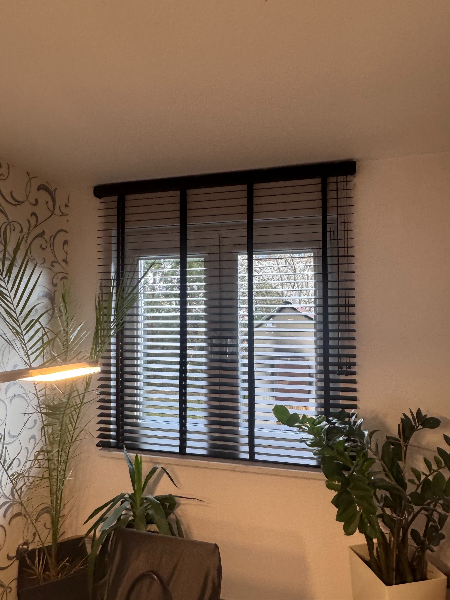 Okno z czarnymi żaluzjami poziomymi, częściowo zasłonięte, z widokiem na zewnątrz, otoczone roślinami doniczkowymi i oświetlone lampką biurkową.
