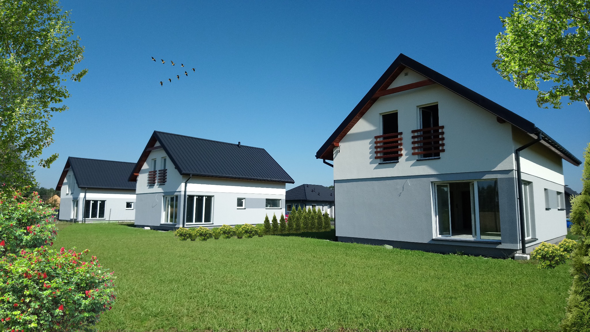 Osiedle domów jednorodzinnych z ciemnymi dachami i jasnymi elewacjami, widok z poziomu trawnika, klucz ptaków na bezchmurnym niebie.