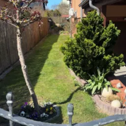 wokulator Prace napowietrzne gleby i wyzbieranie starej trawy