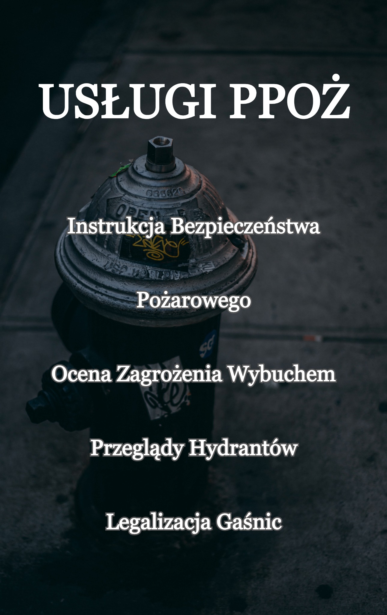 Sprawdź pełny zakres usług PPOŻ