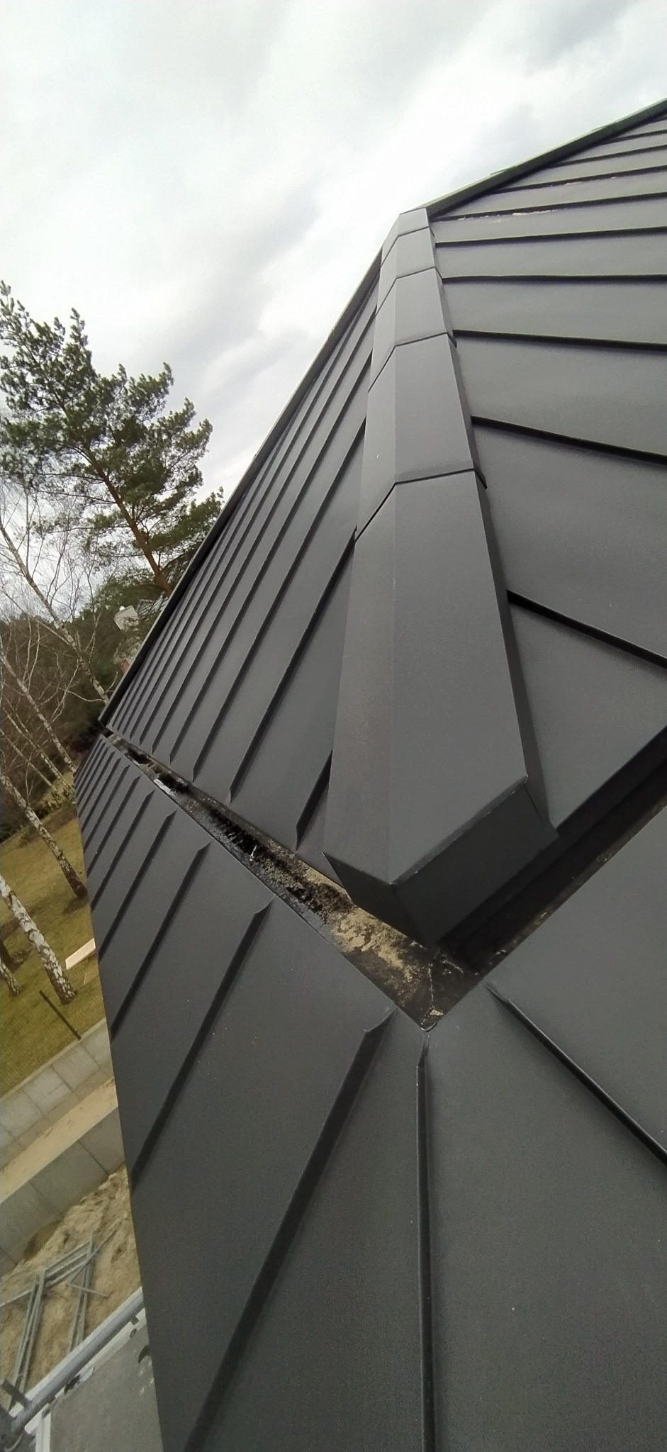 Szczegółowe ujęcie grafitowego dachu z blachy na rąbek stojący, widoczne połączenia i linia kalenicy. W tle drzewa i pochmurne niebo.