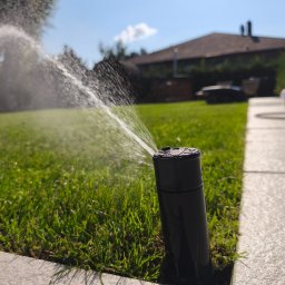 Trawa z rolki Warzymice 4