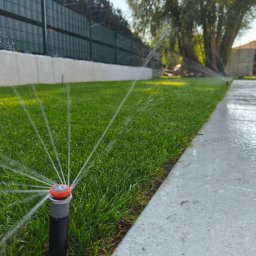 Trawa z rolki Warzymice 3