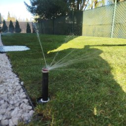 Trawa z rolki Warzymice 2