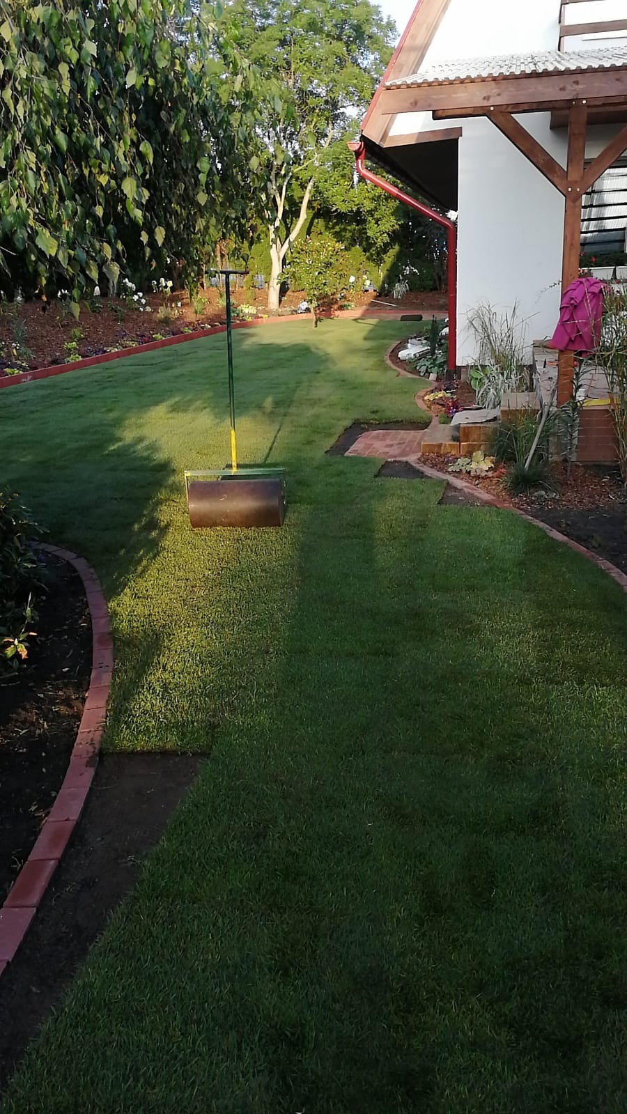 Świeżo ułożona trawa z rolki, wyrównywana walcem ogrodowym. Widoczne obrzeża z cegły i fragment domu z drewnianą konstrukcją.