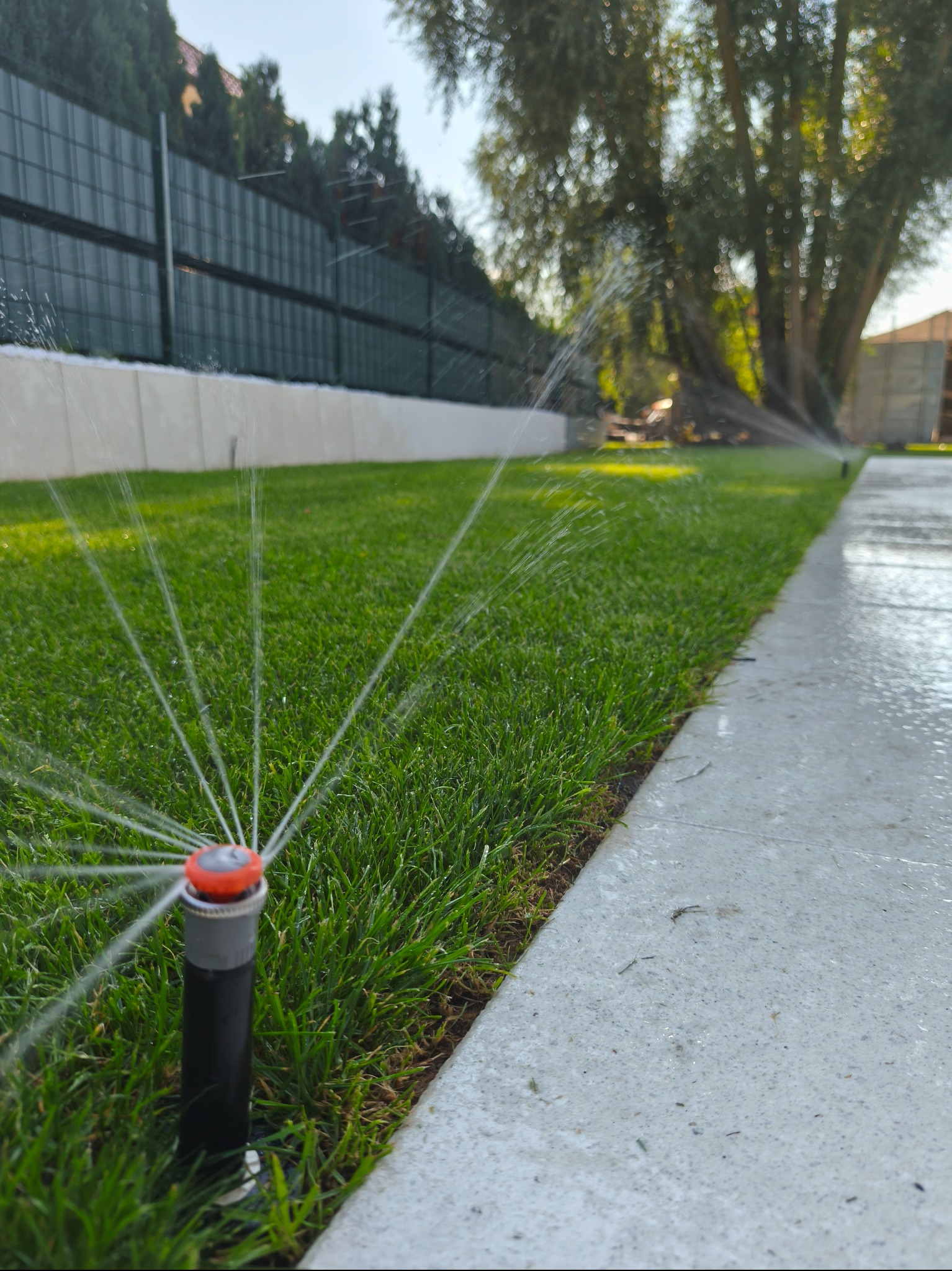 Działający zraszacz rotacyjny nawadnia soczyście zielony trawnik przydomowy, obok betonowy chodnik. W tle zielony żywopłot i drzewa w słoneczny dzień.