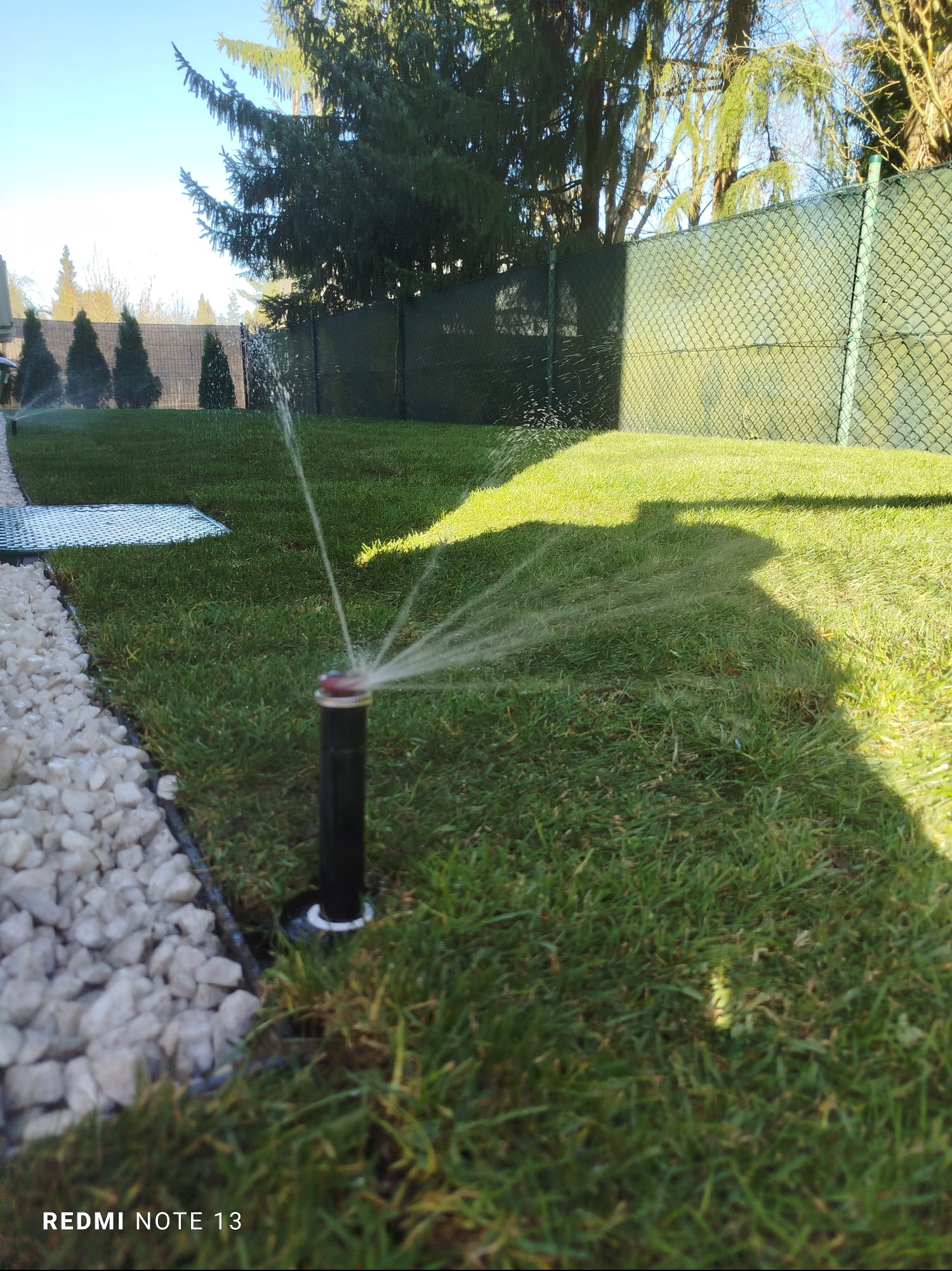 Działający zraszacz wynurzalny nawadnia trawnik. W tle zielony płot i drzewa. Granica trawnika wyłożona białym kamieniem.