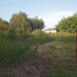 Idea Snails & Garden Daniel Zawrot - Czyszczenie działki z zarośli i ułożenie urobku w miejsce wyznaczone przez klienta.