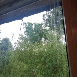 Idea Snails & Garden Daniel Zawrot - Mycie okien - okno pokojowe