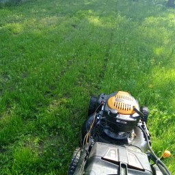 Idea Snails & Garden Daniel Zawrot - Koszenie wysokiej trawy