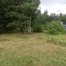 Idea Snails & Garden Daniel Zawrot - Trawa po koszeniu z widocznymi ściętymi gałęziami i krzewami. W tle drzewa iglaste i liściaste, pochmurne niebo. Świeżo skoszona trawa.