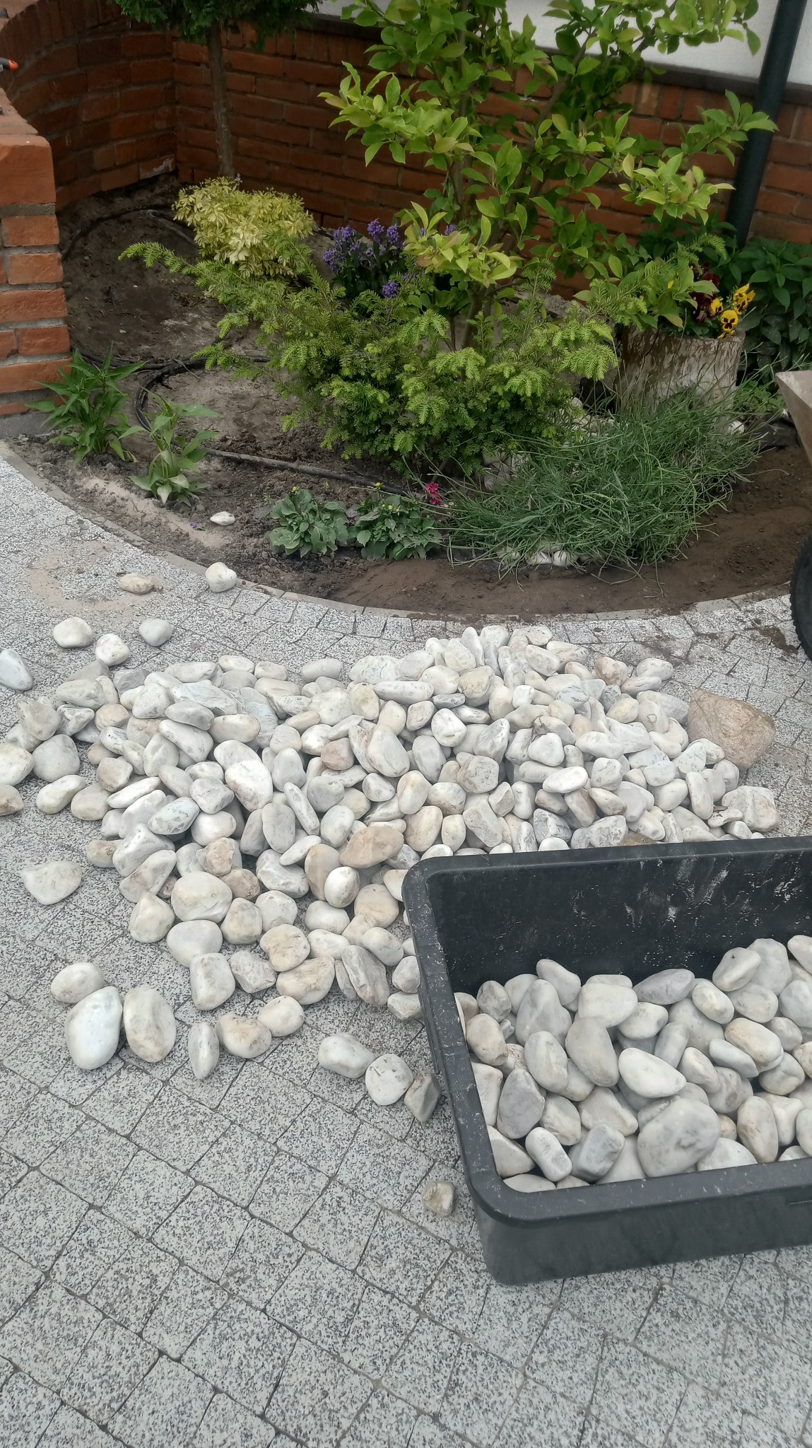 Białe otoczaki rozsypane na szarej kostce brukowej obok czarnego pojemnika, w tle rabata z zielenią i ceglana ściana. Element dekoracyjny ogrodu.