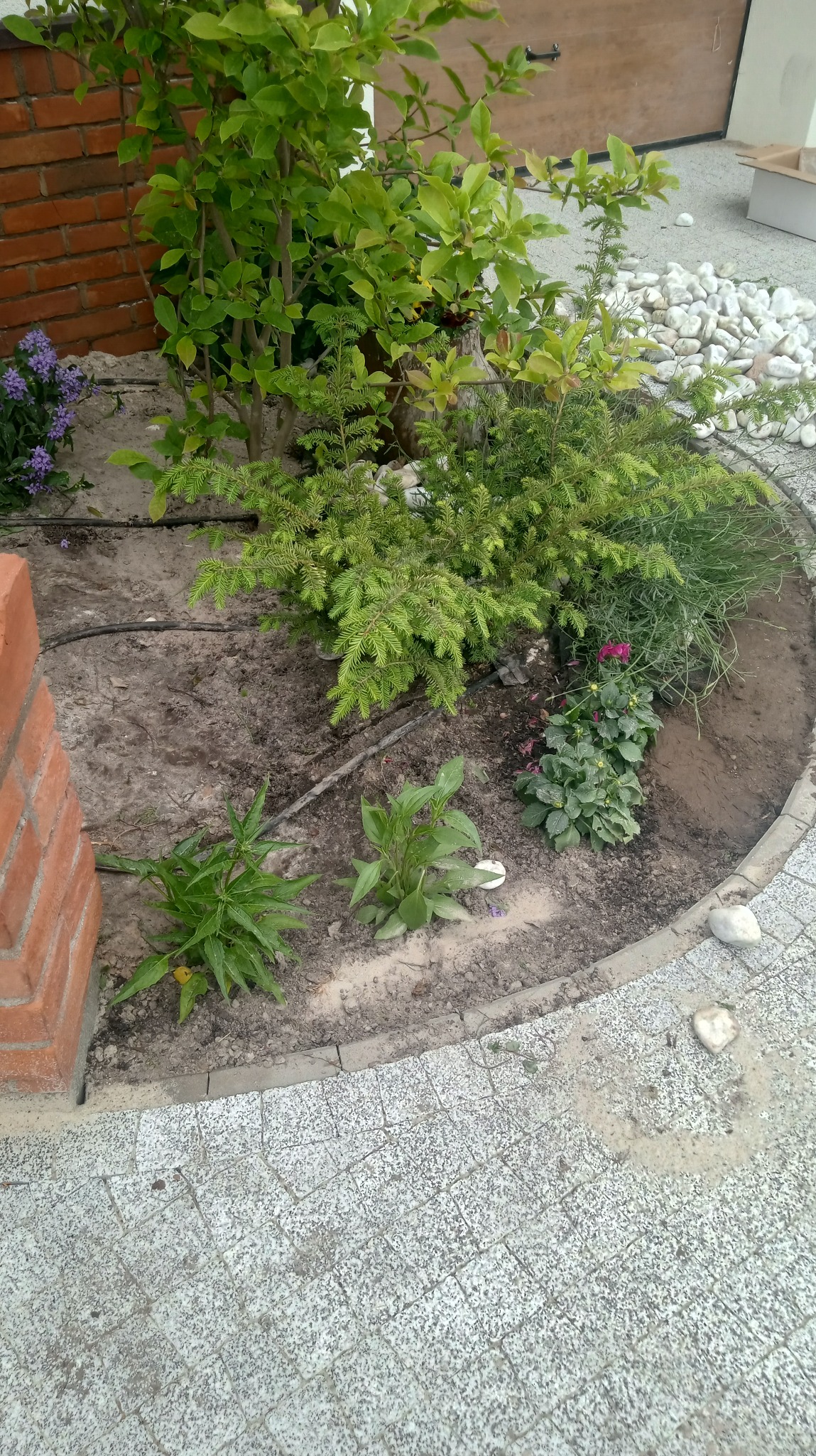 Pokrycie rabaty włókniną i ściółkowanie otoczakiem