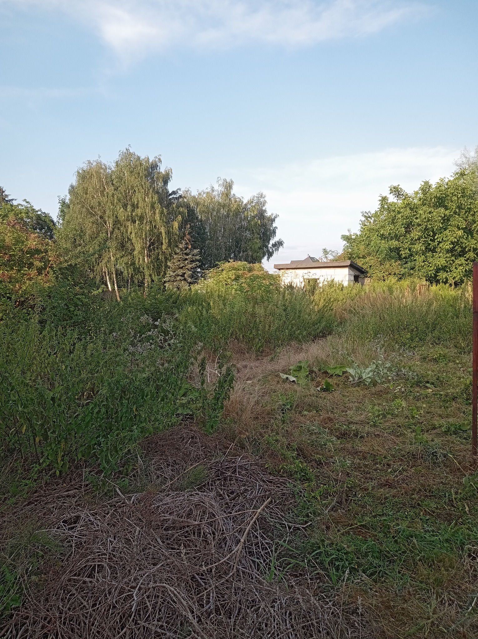 Czyszczenie działki z zarośli i ułożenie urobku w miejsce wyznaczone przez klienta.