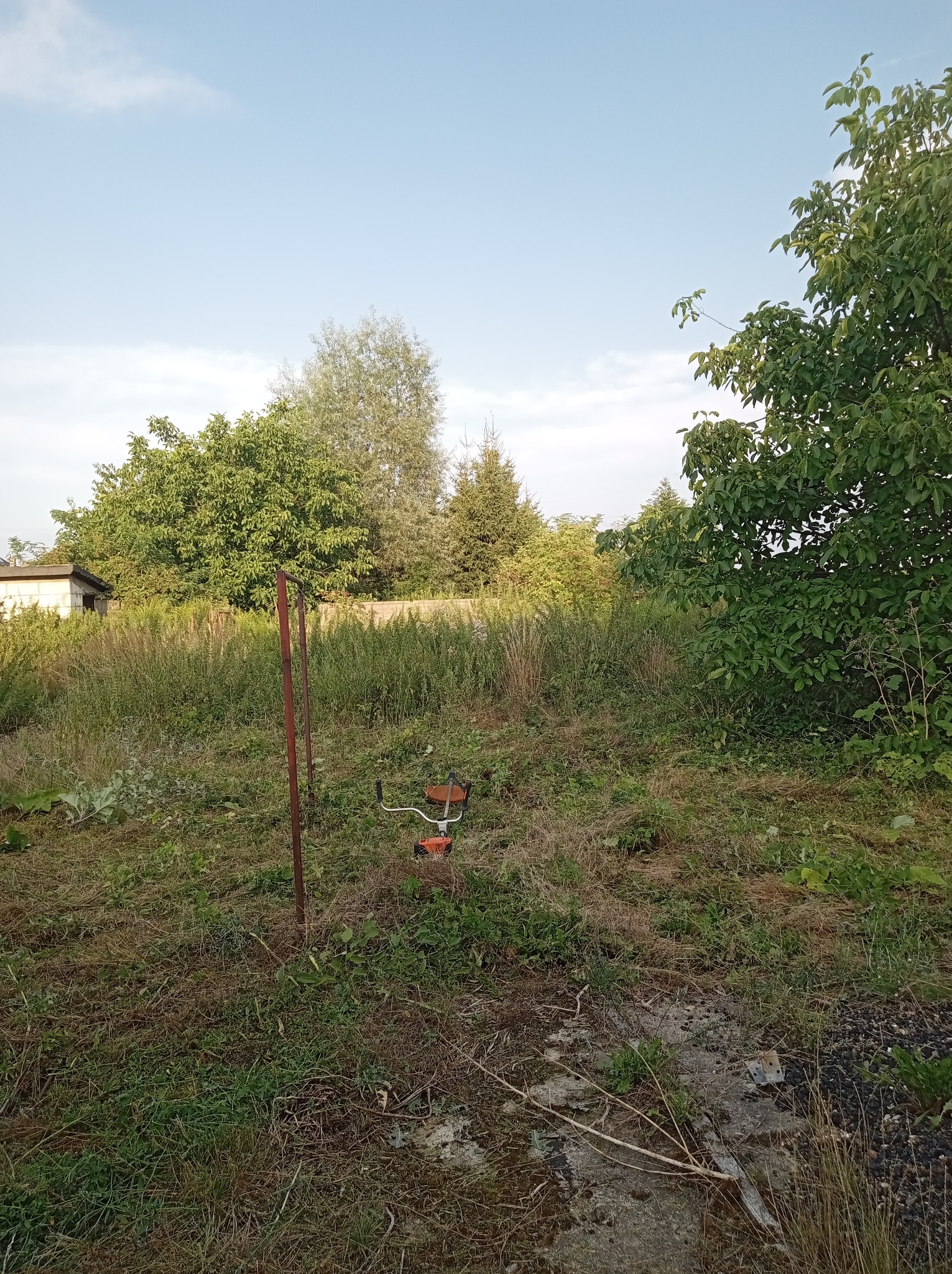 Zarośnięty teren z widoczną kosiarką spalinową, drzewami i fragmentem budynku w tle. Wysoka trawa i chwasty sugerują potrzebę koszenia.