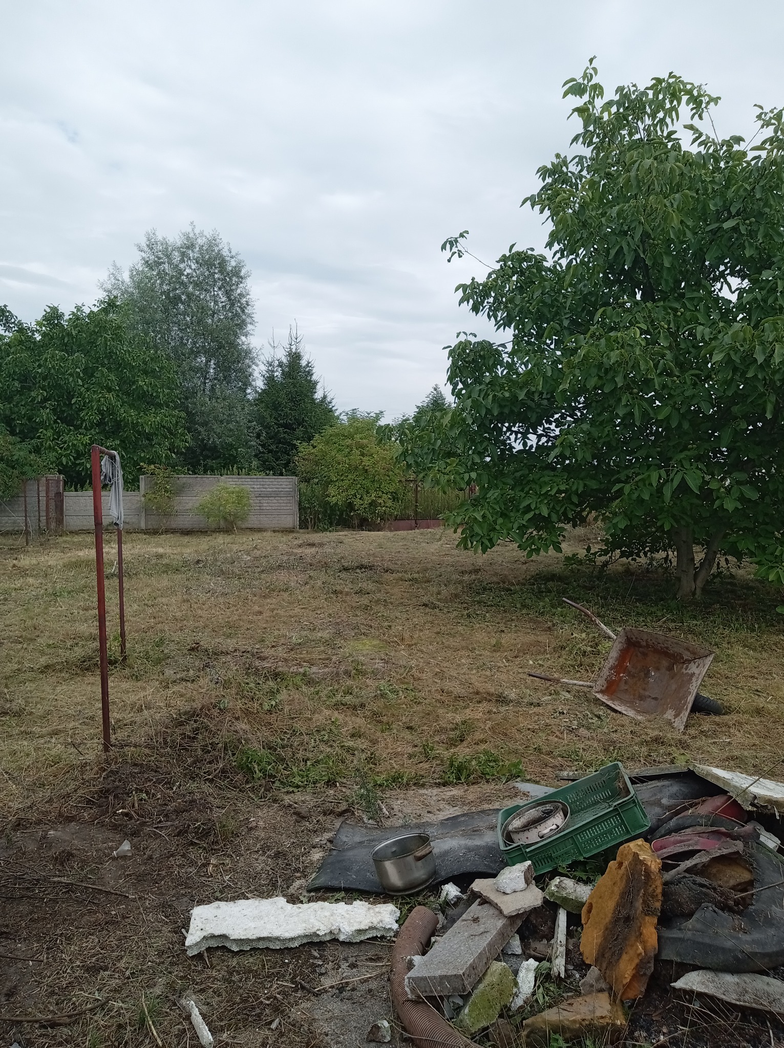 Zarośnięta działka z porozrzucanymi śmieciami, widoczna taczka i drzewo orzech. Zaniedbany teren przed domem, pochmurne niebo.