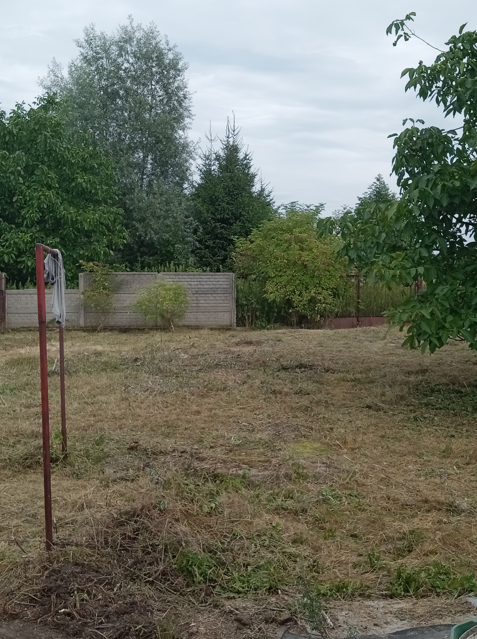 Zarośnięty ogród z suchą trawą, widoczne drzewa i krzewy za betonowym ogrodzeniem. Na pierwszym planie metalowy słupek z szarą szmatą.